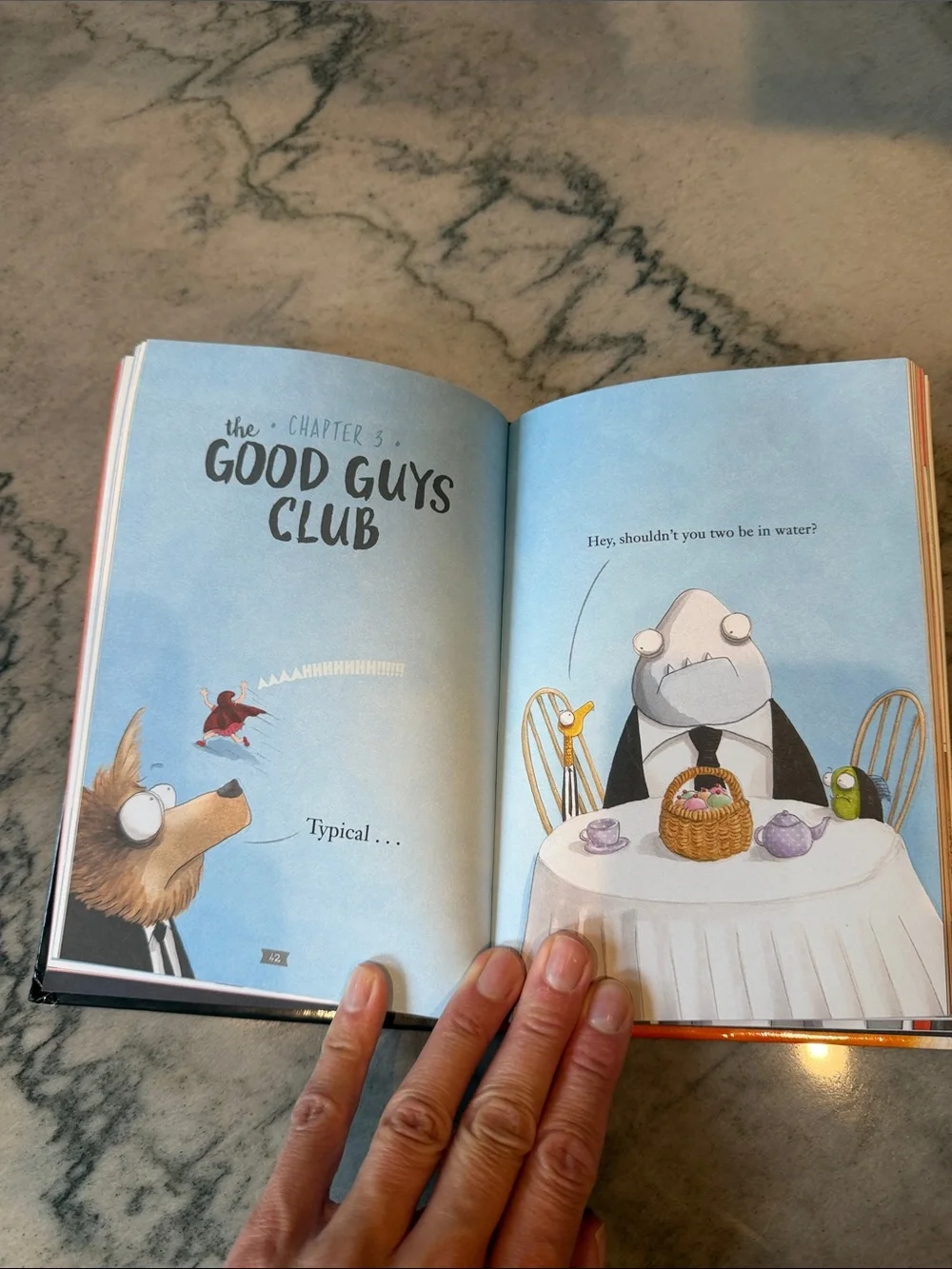 Bad Guys Book - hardcover